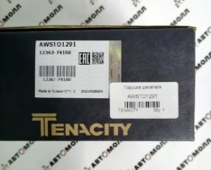 Подушка двигателя Tenacity Awsto1291